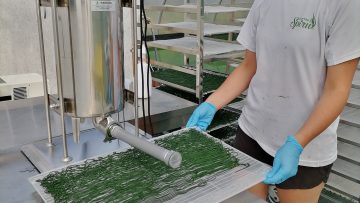 IMG_20230608_101425